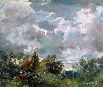 Studio di cielo e alberi da John Constable